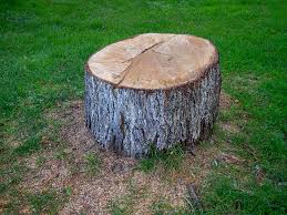 Best Emergency Tree Removal  in Clayton, NC
