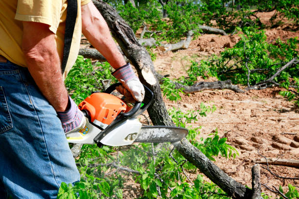Lawn Drainage Solutions in Clayton, NC